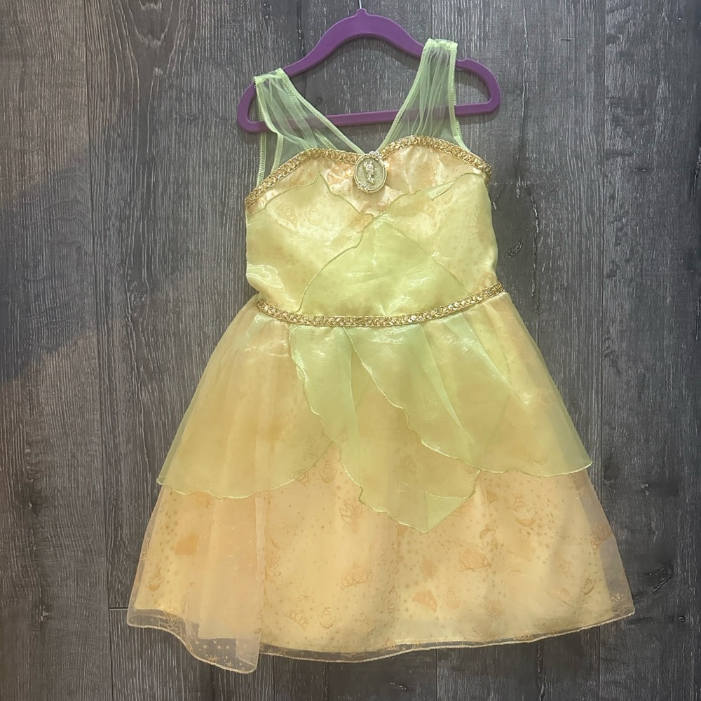 Disney Princess Tiana Costume Dress Bin 2